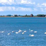 Marina Port Camargue شقة *