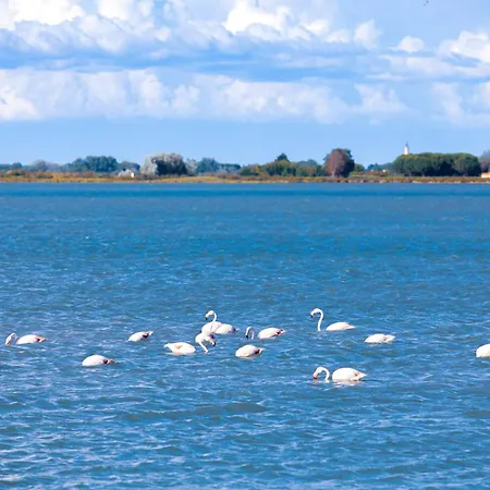Marina Port Camargue Apartment Le Grau-du-Roi