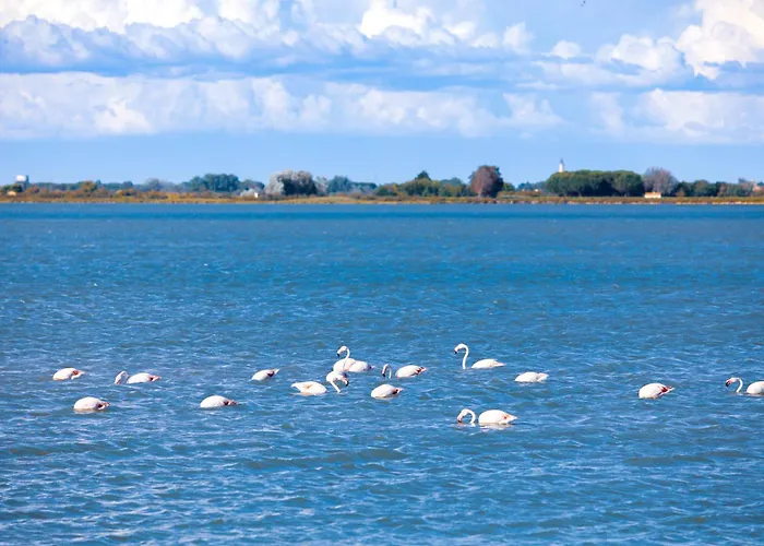 Marina Port Camargue Apartment Le Grau-du-Roi